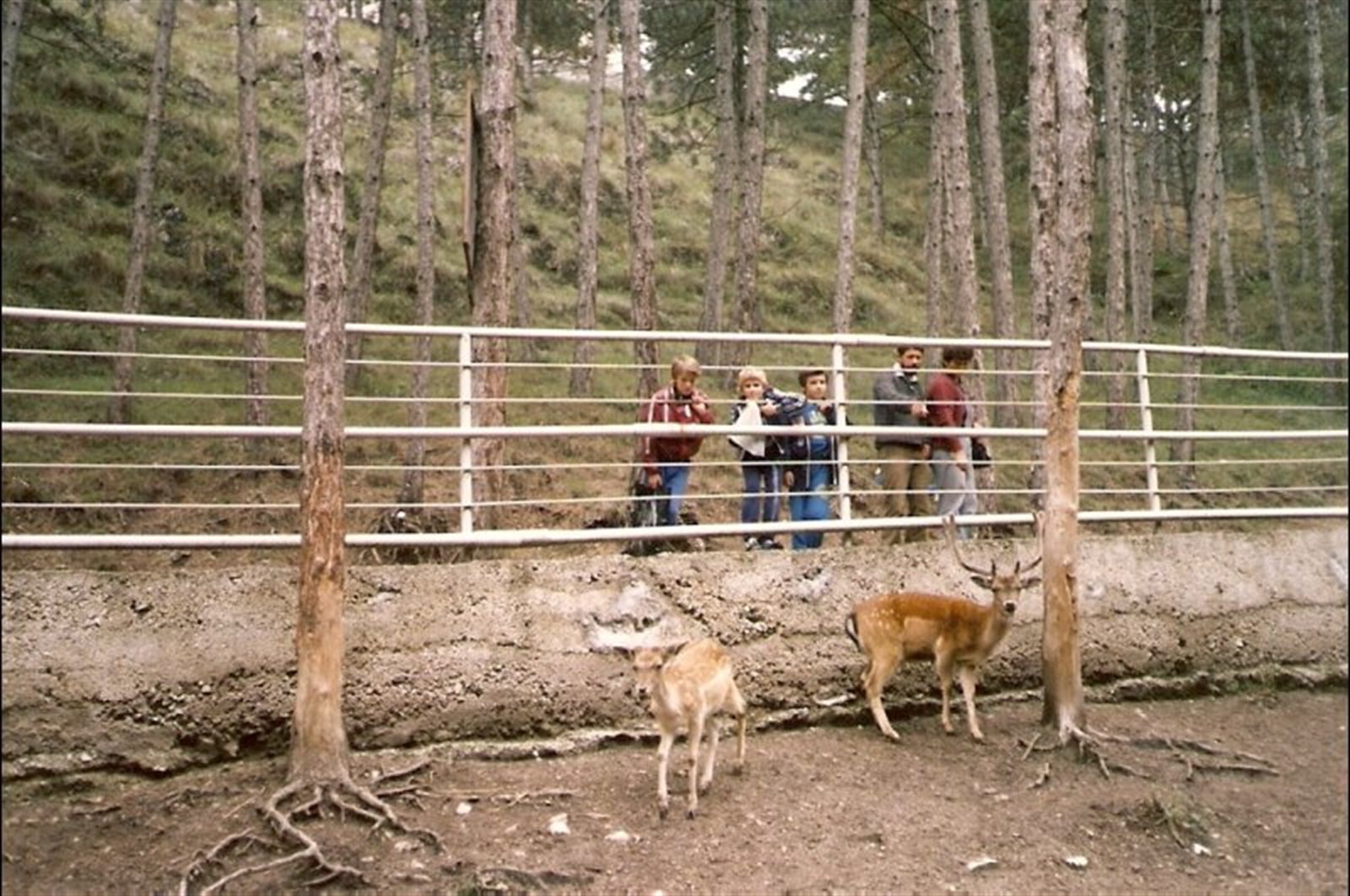 1987 – Kaptalanfured - 20