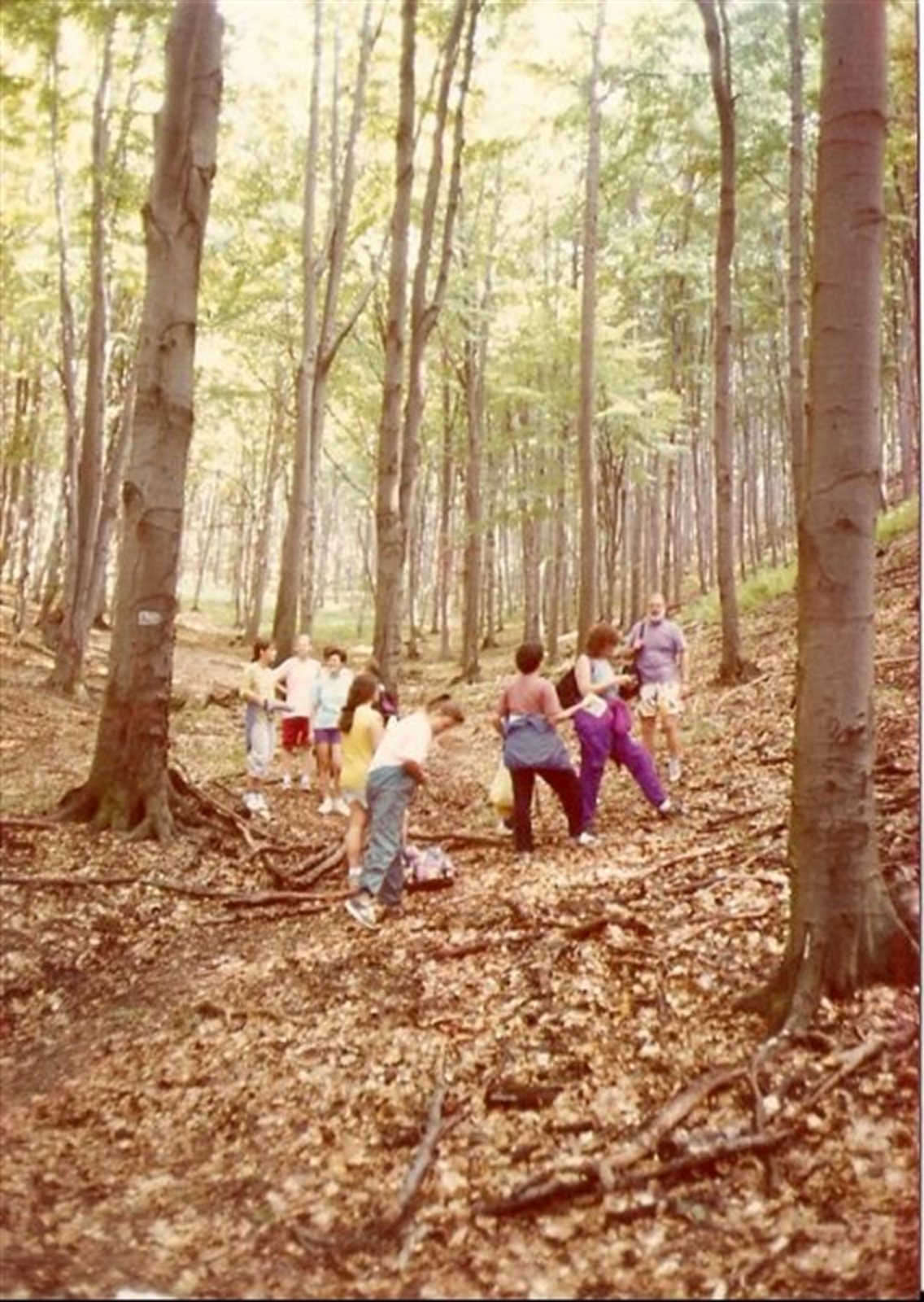 1994 – Fonyod Bakonyszucs - 16