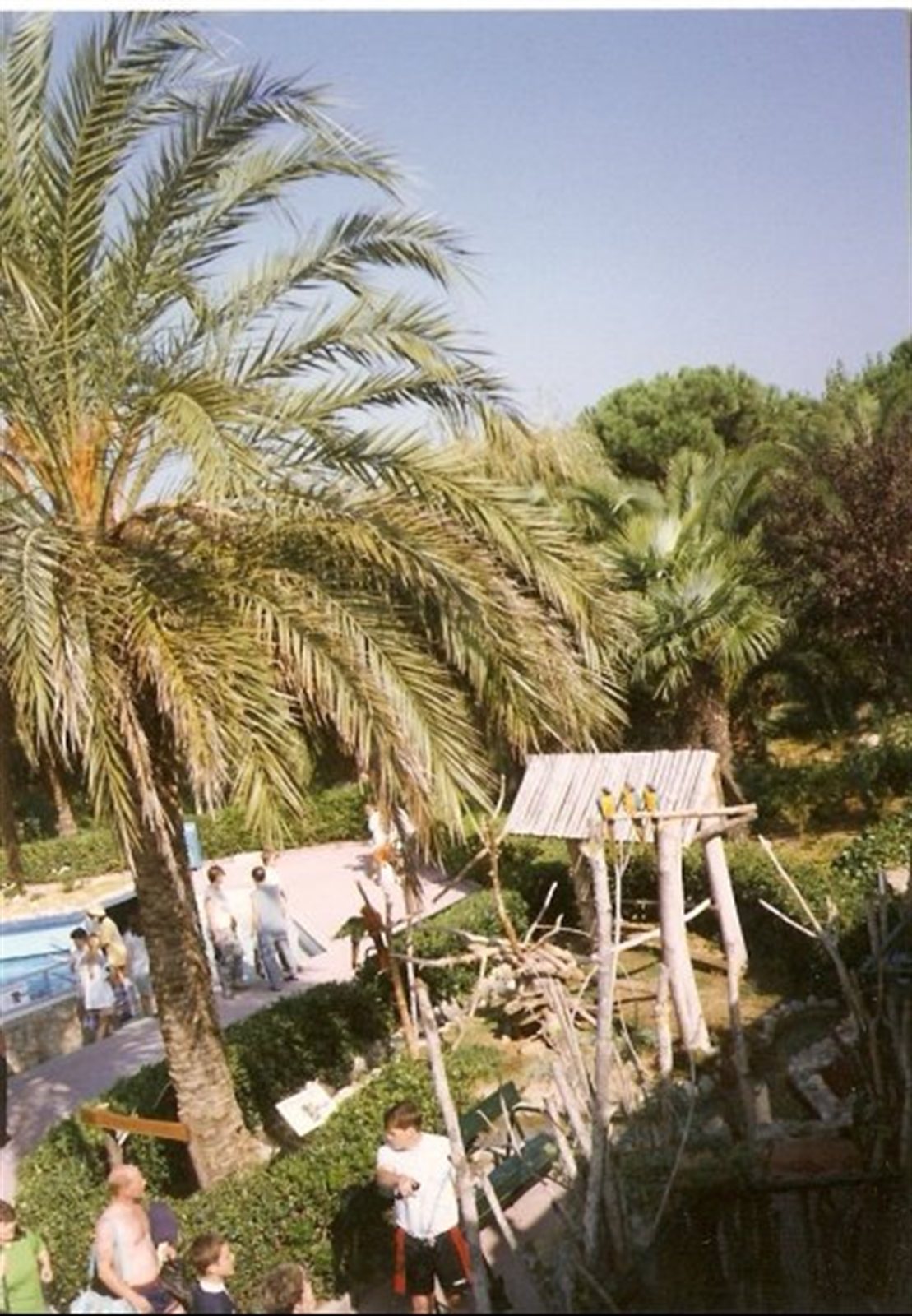 1995 – Spanyolorszag - 7