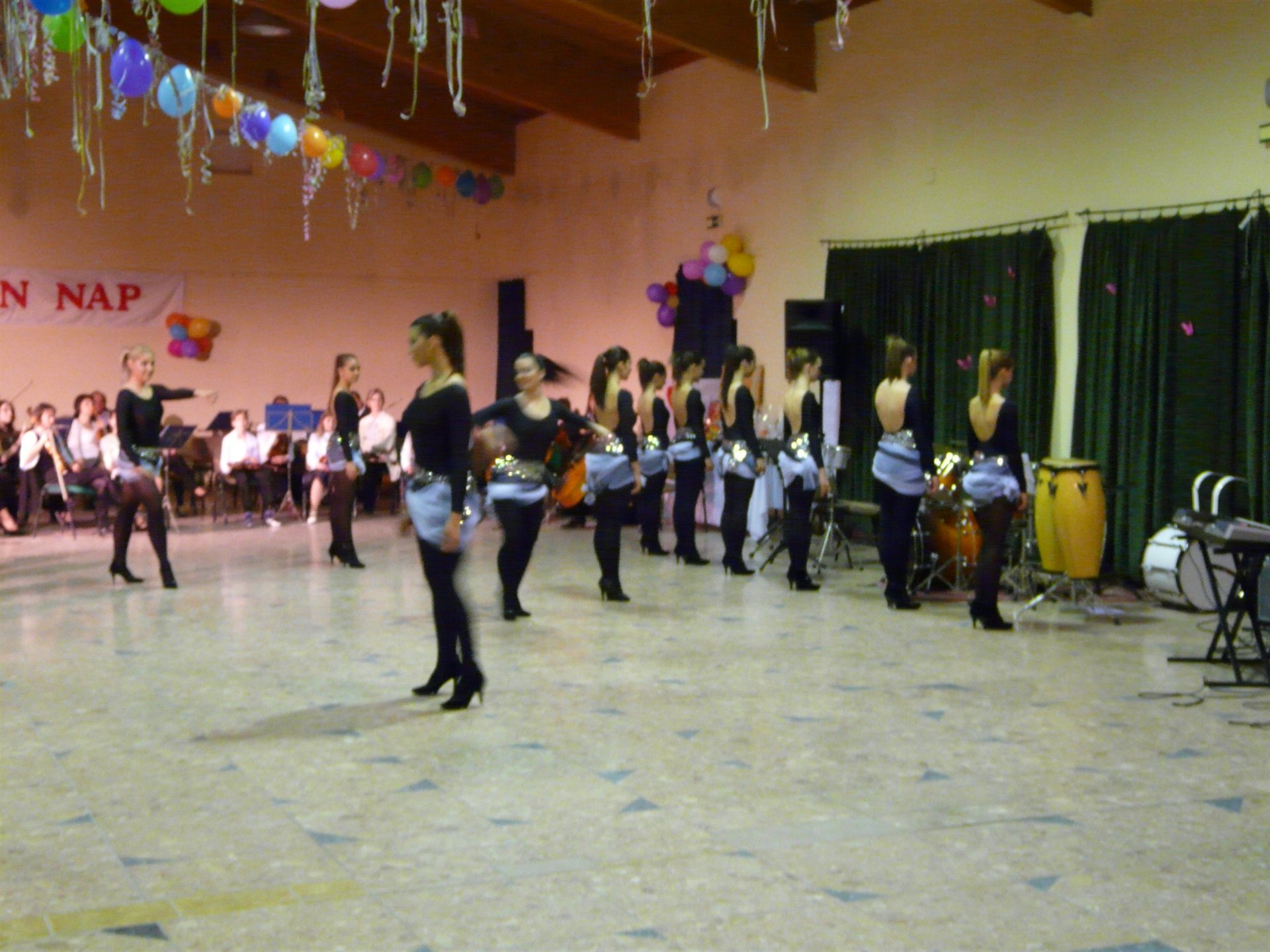 2011 – Valentin Nap - 14